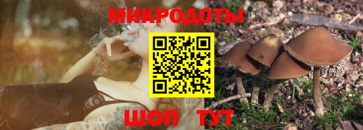 Щёкино  Псилоцибиновые грибы Cubensis  Галлюциногенные грибы прущие грибы  Вход с VPN 
